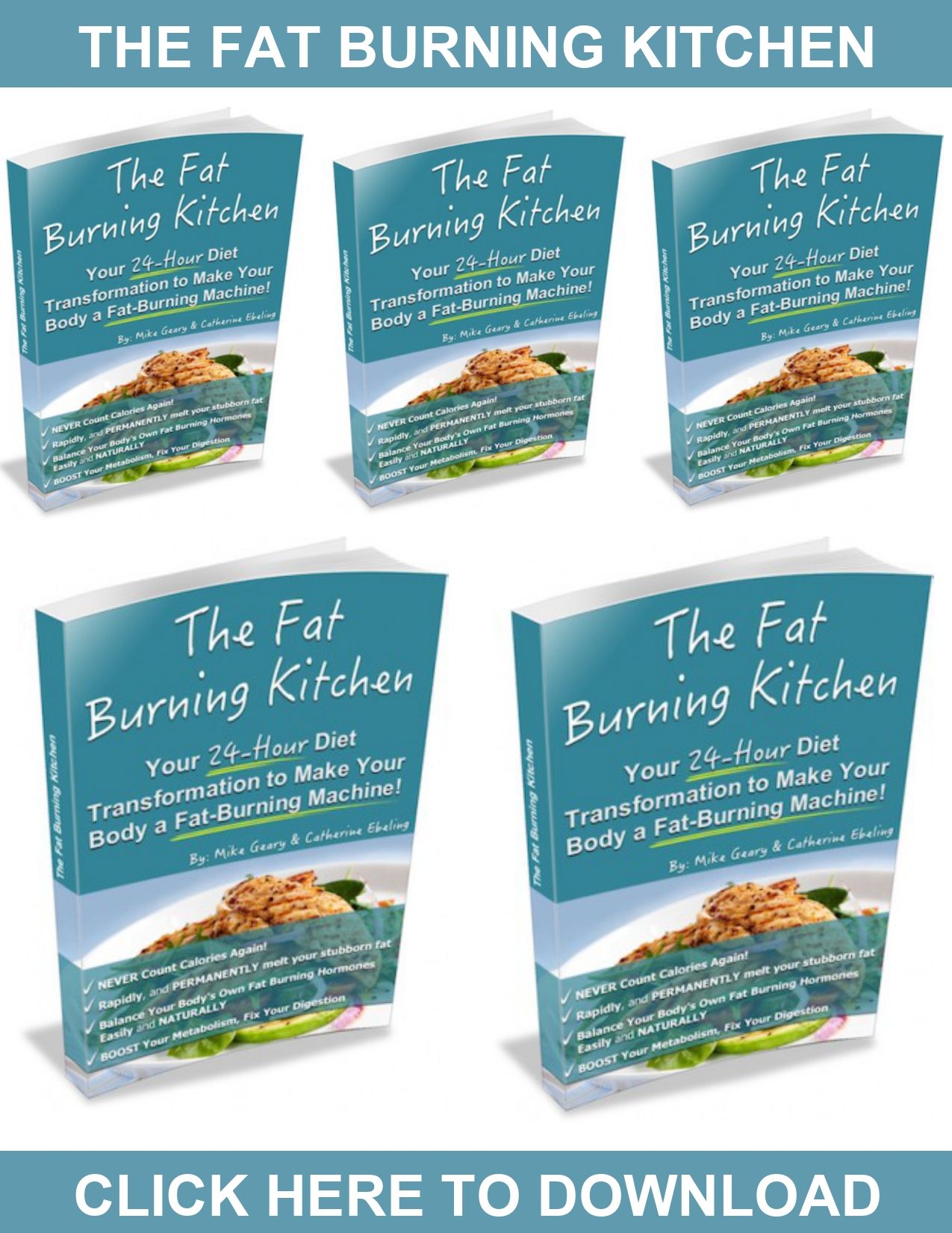 fat burning kitchen book free download