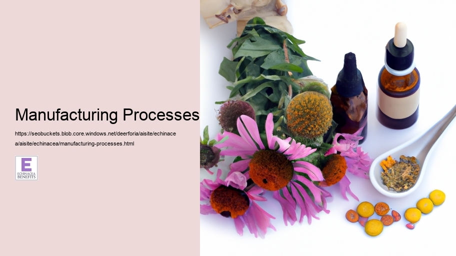 Manufacturing Processes