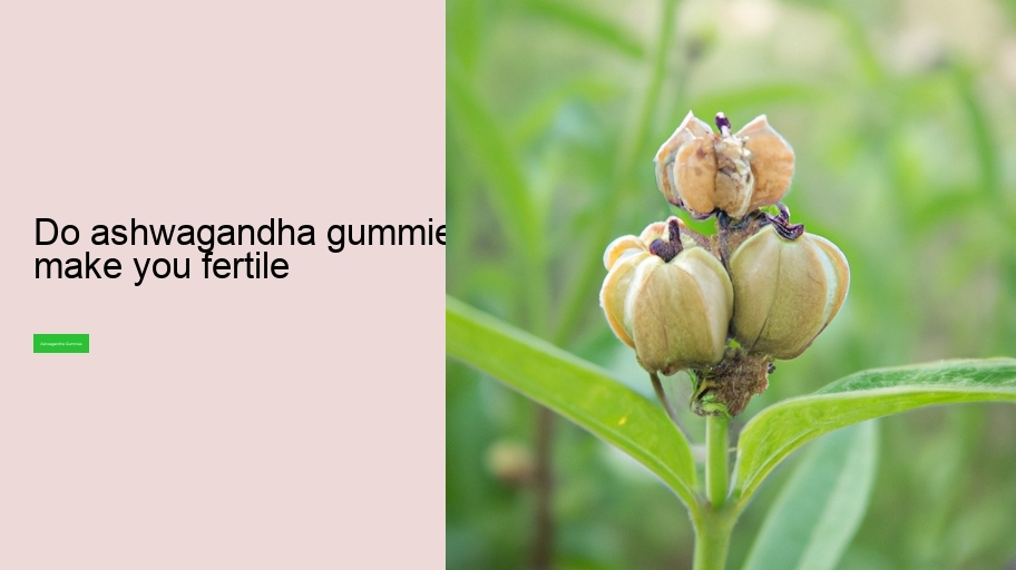 do ashwagandha gummies make you fertile