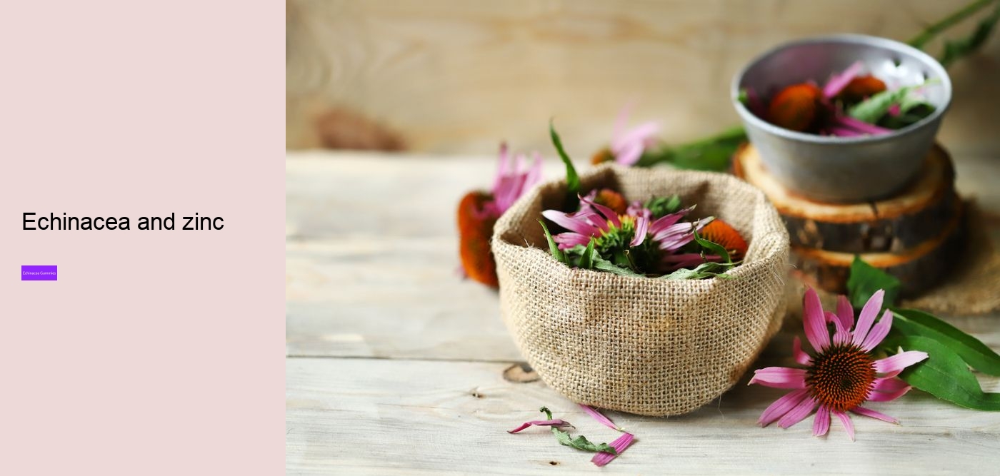 Why should you not take echinacea everyday?