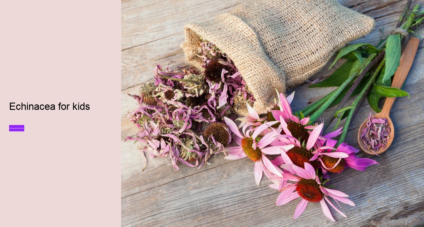 What are the pros and cons of echinacea?