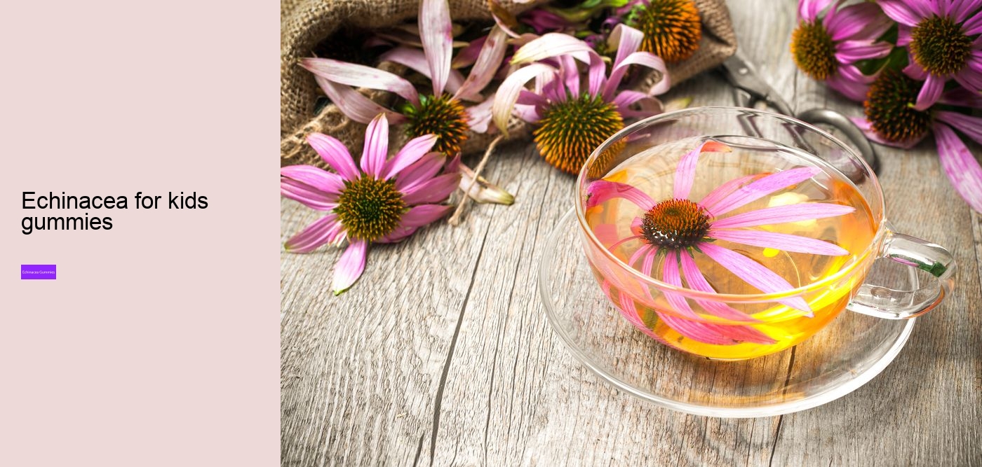 Who should not take echinacea?