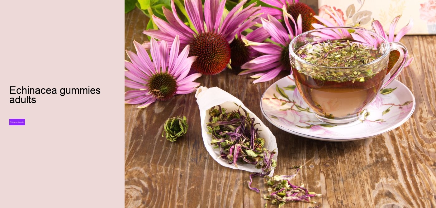 Does echinacea make you sleepy?