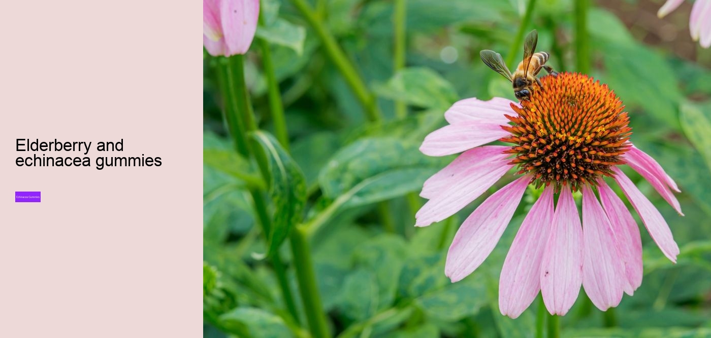 can i get echinacea in gummies