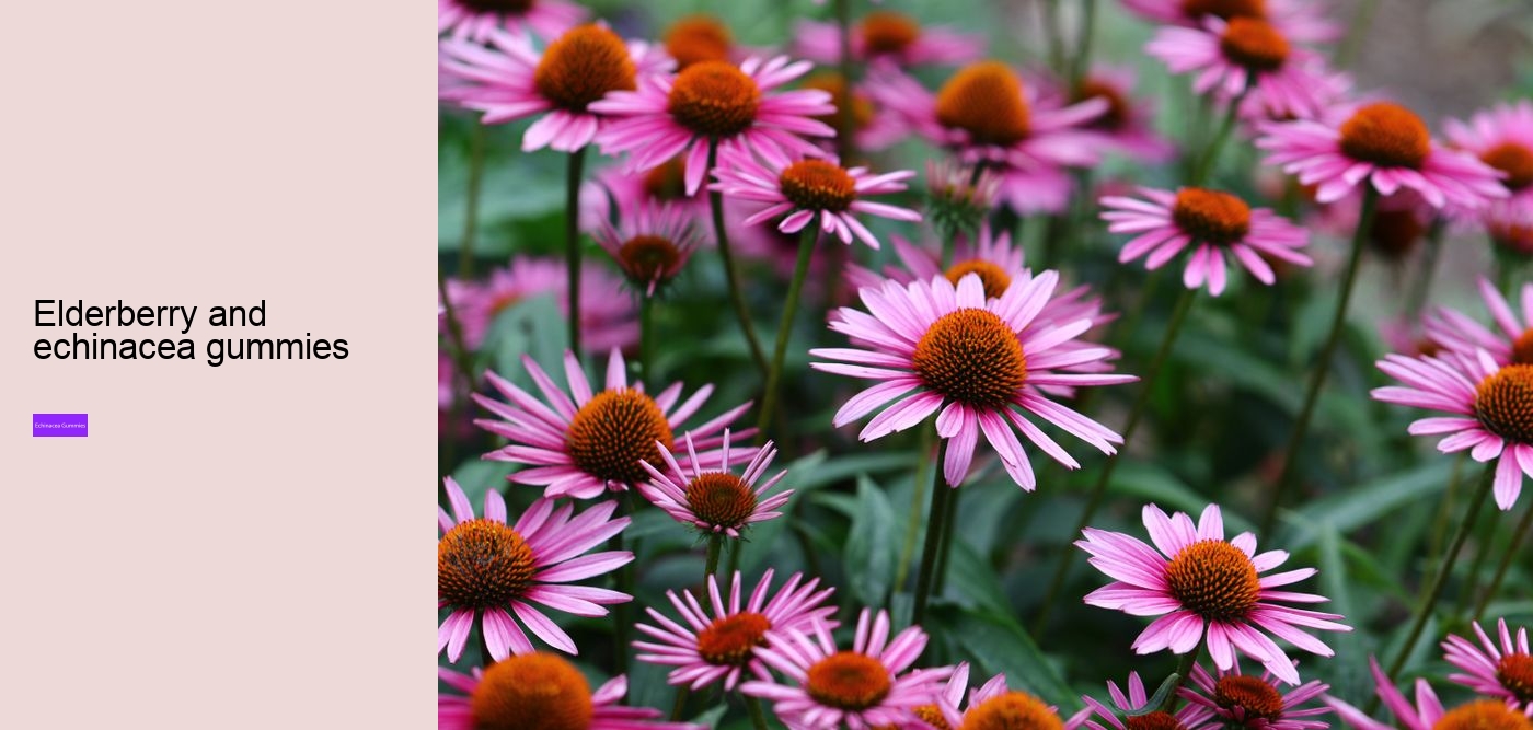 gummy echinacea bears