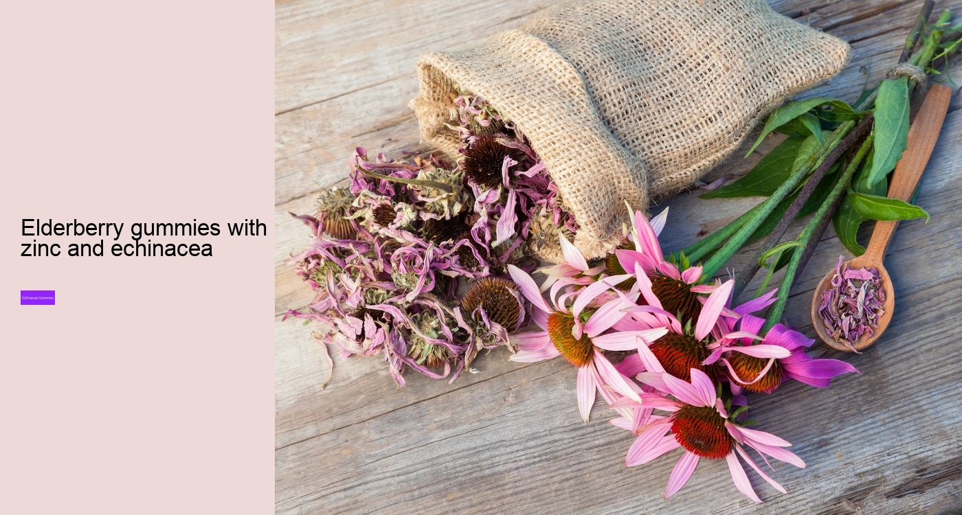 Why not take echinacea on an empty stomach?