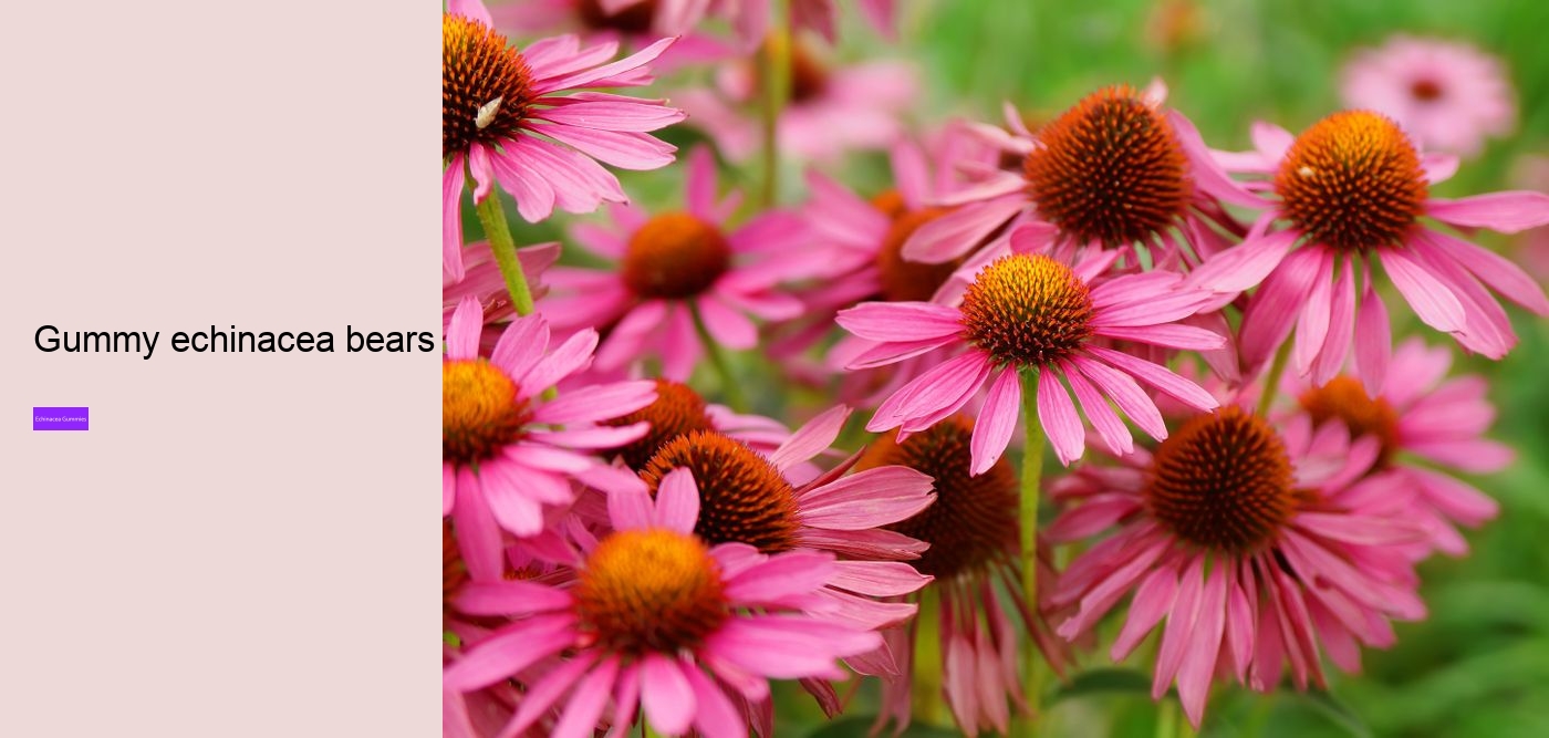 What does vitamin C echinacea do for you?