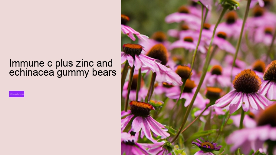 immune c plus zinc and echinacea gummy bears