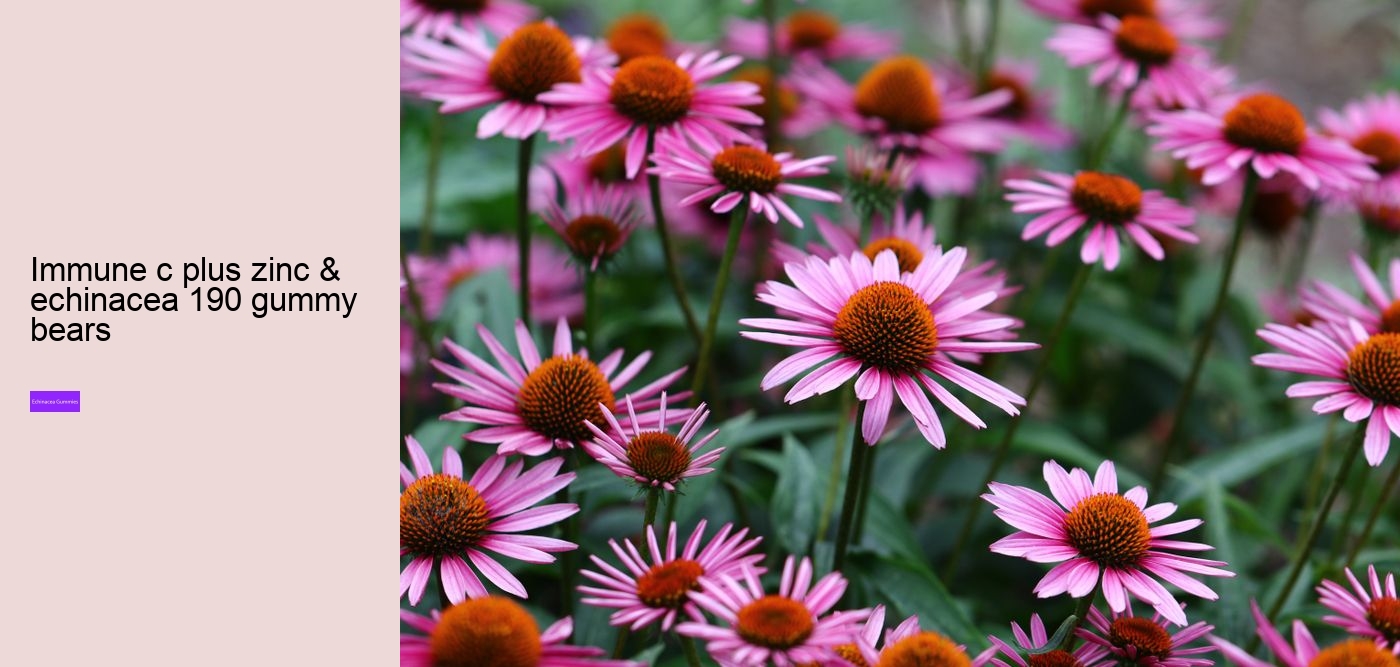 Is it worth taking echinacea?