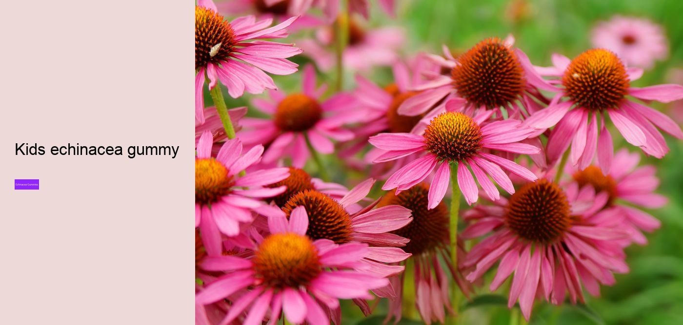 Does echinacea affect sleep?