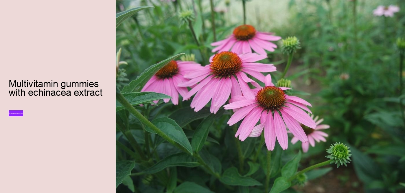 Who should not take echinacea?