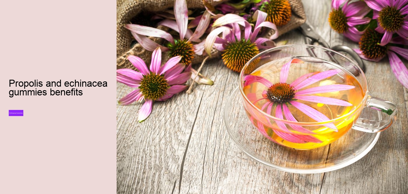 echinacea gummies