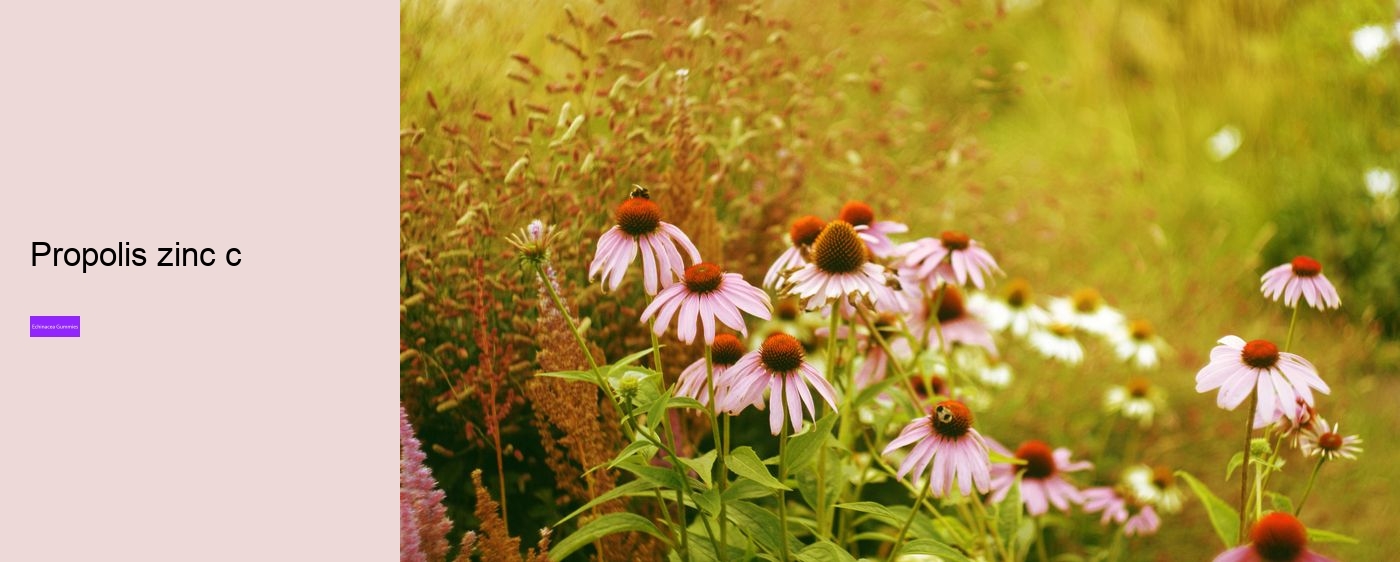 echinacea and zinc