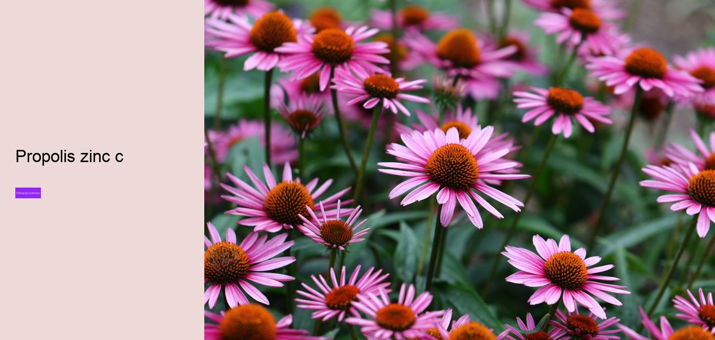 vitamin c echinacea gummy bears