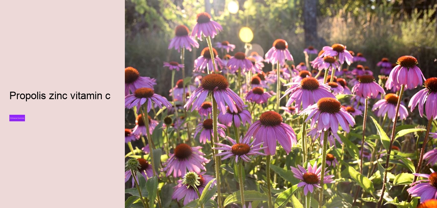 multivitamin gummies with echinacea