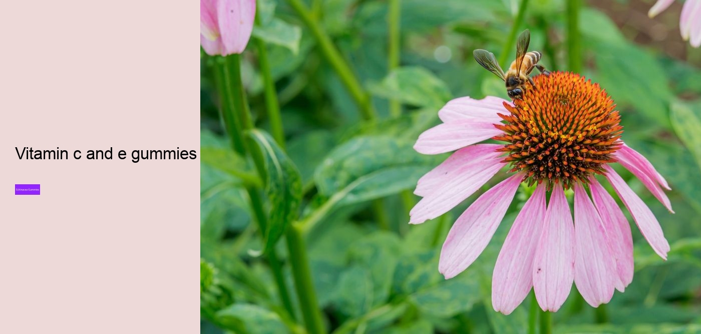 gummy cuties echinacea