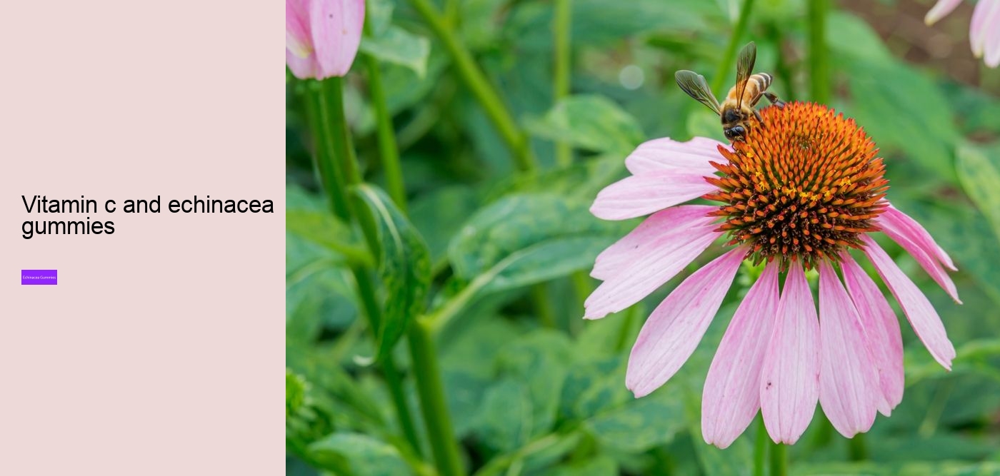 gummy echinacea bears