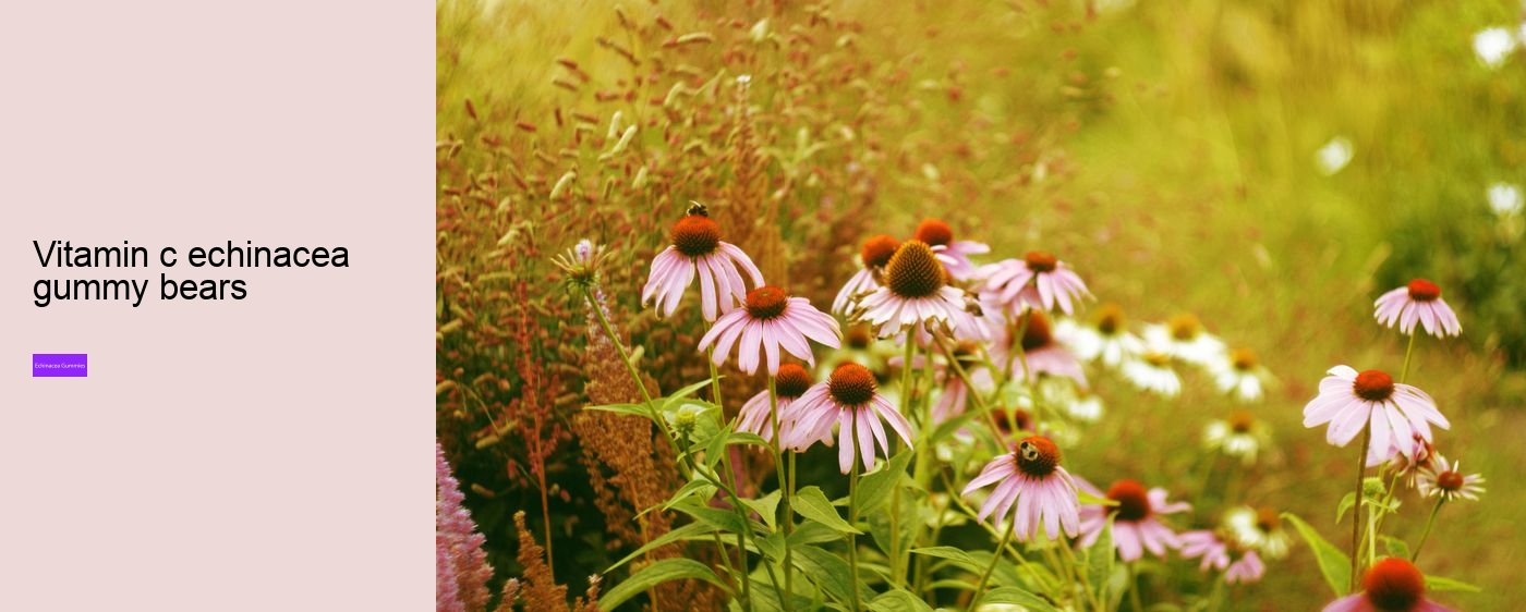 gummy echinacea