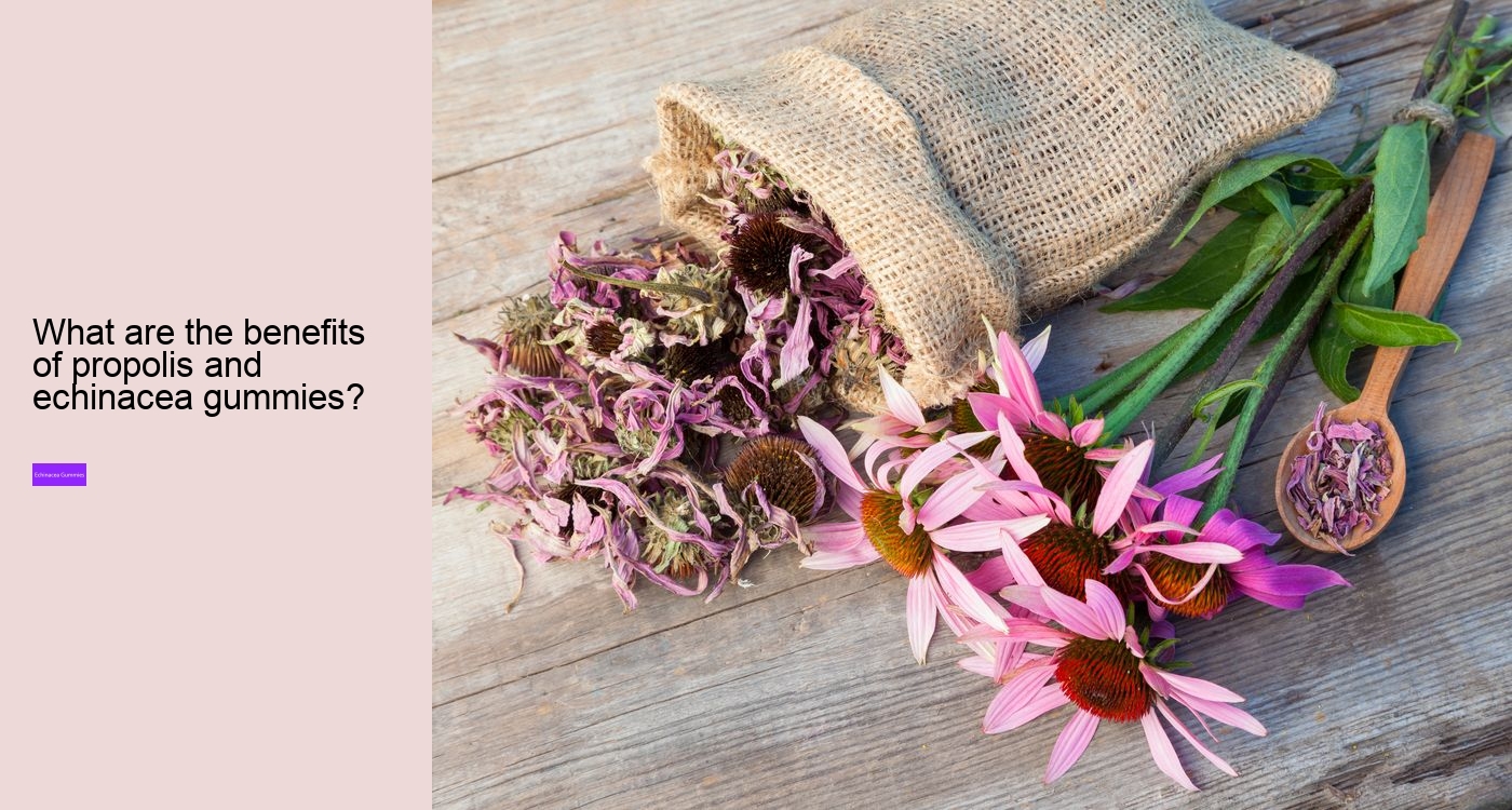 Does echinacea help when you are already sick?