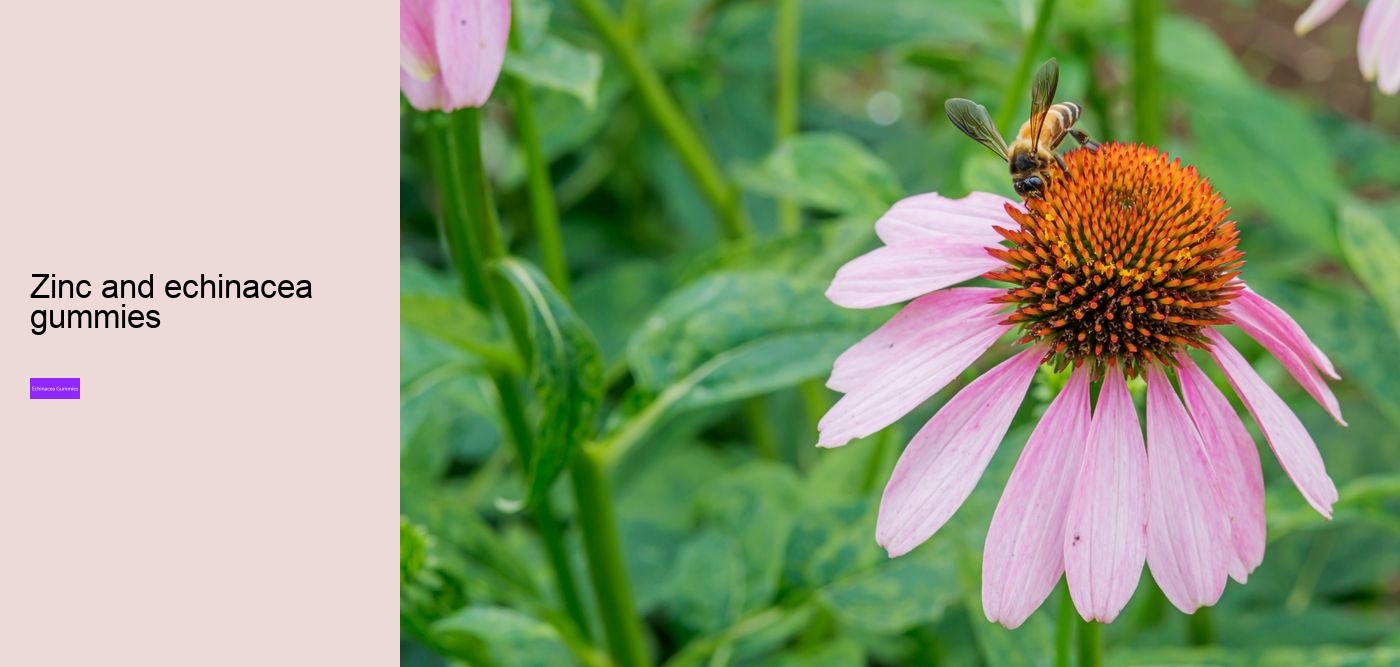 propolis and echinacea gummies benefits