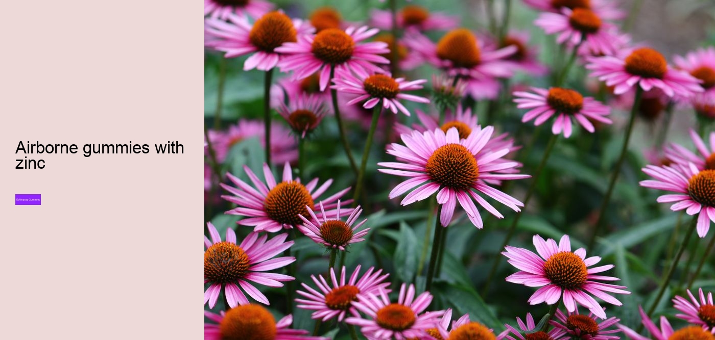 Why is echinacea so expensive?