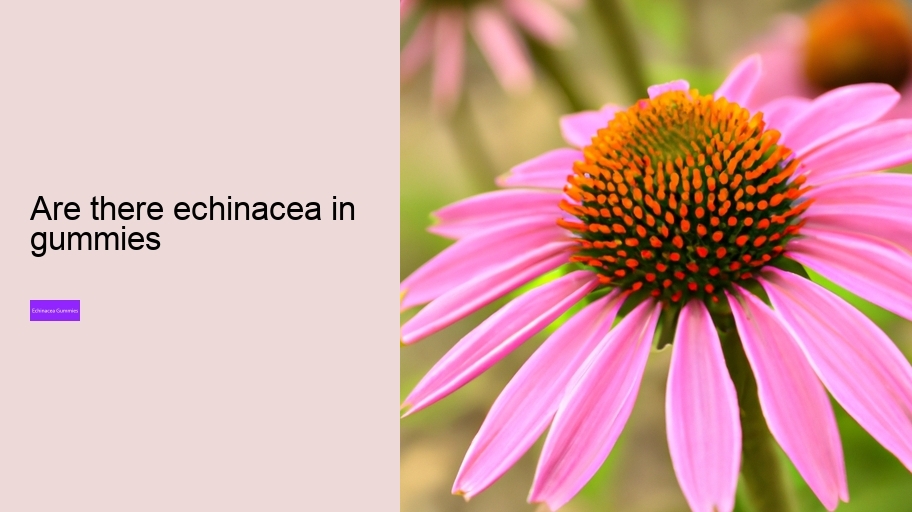 are there echinacea in gummies