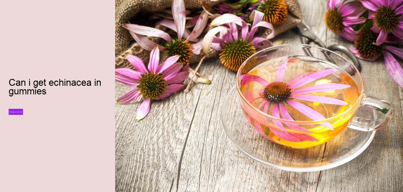 kids echinacea gummy