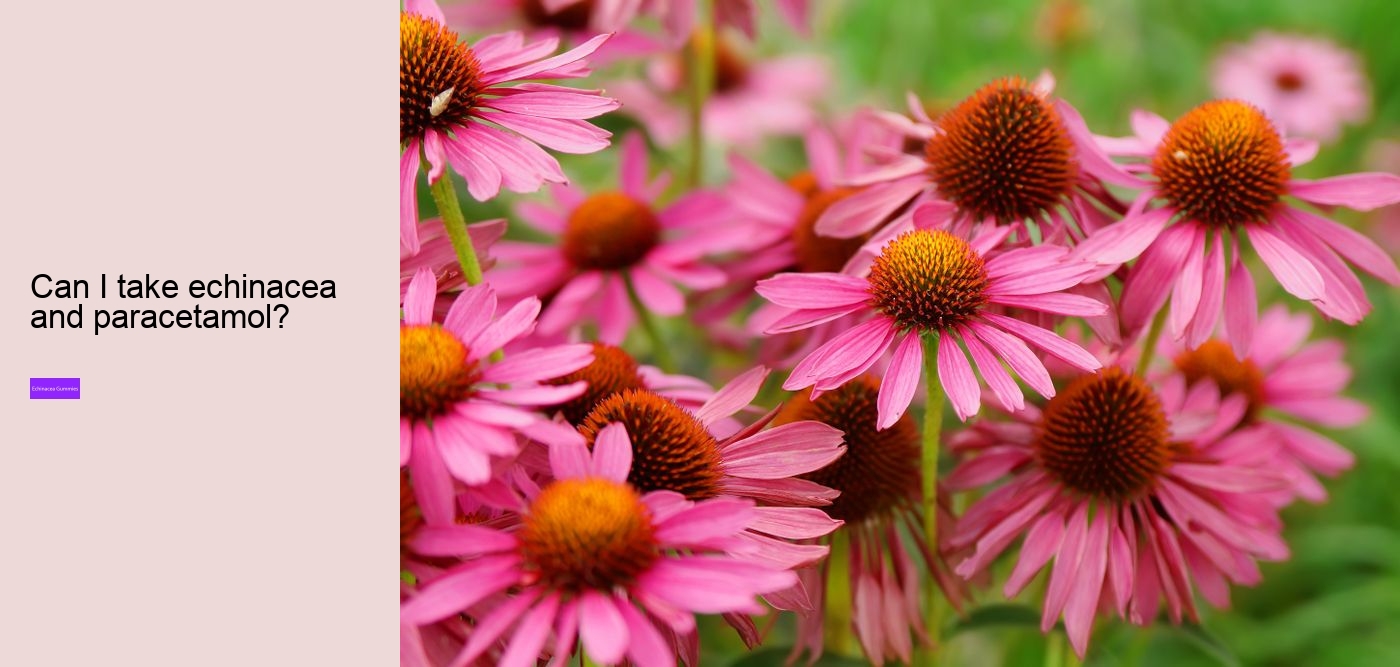 Does echinacea increase histamine?