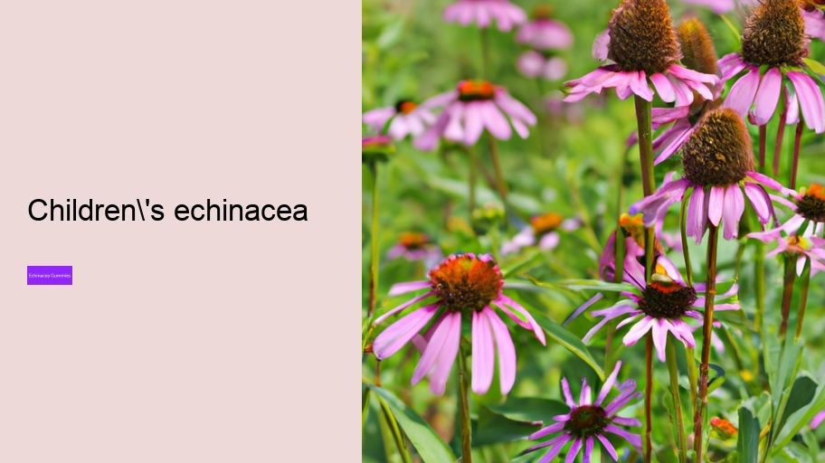 children's echinacea