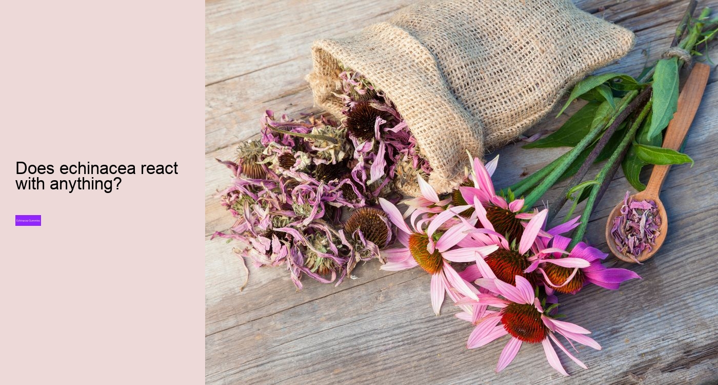 Who should not take echinacea?