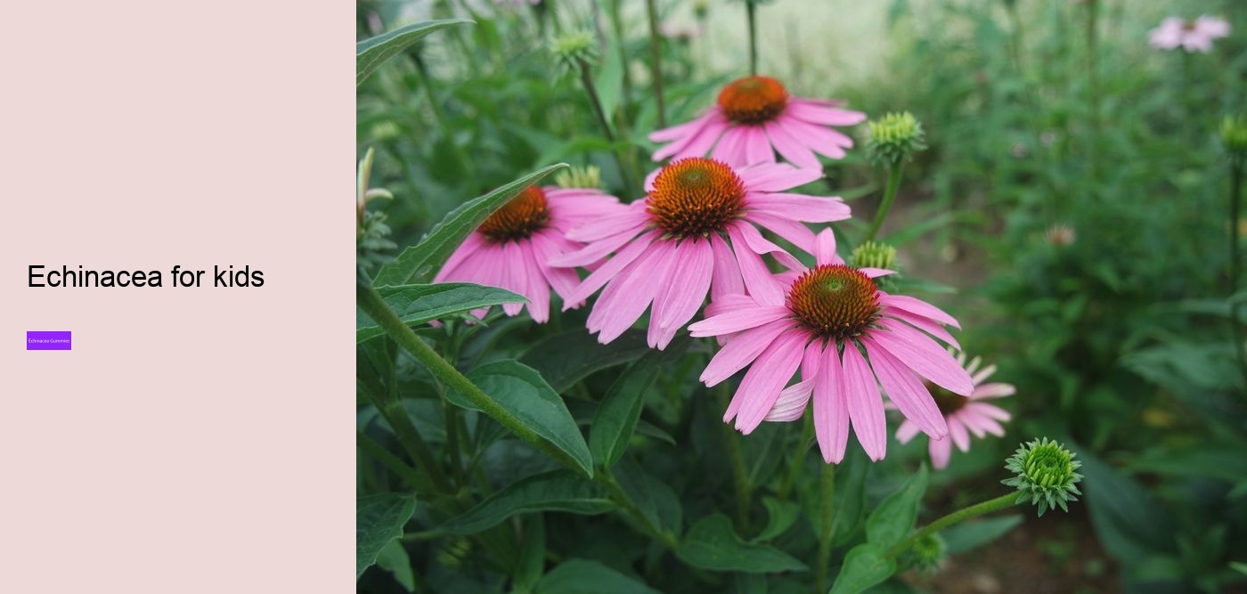 echinacea in gummy form