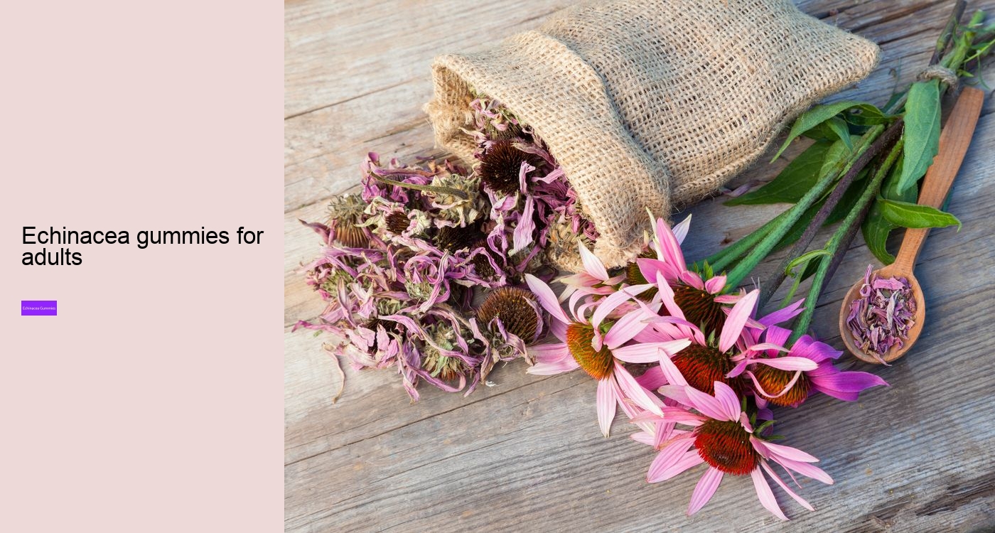 elderberry and echinacea gummies