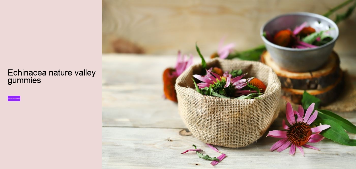 elderberry gummies with zinc and echinacea