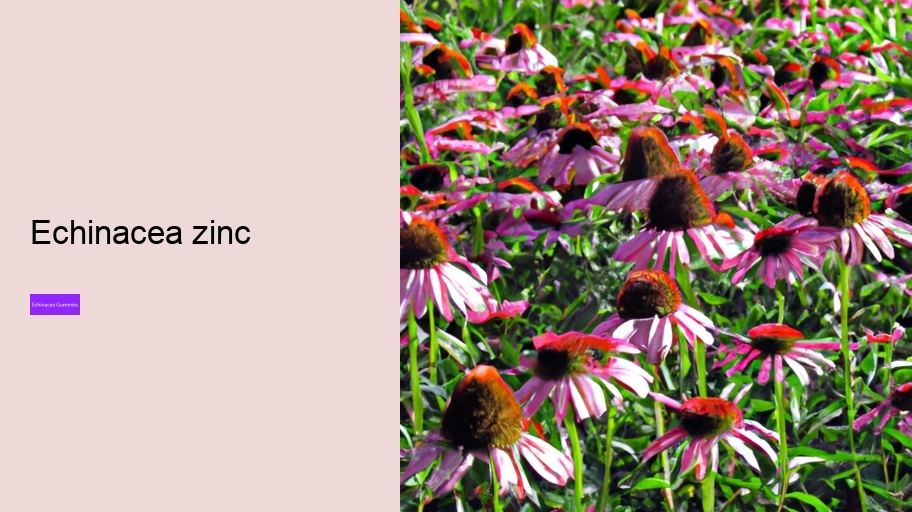 echinacea zinc