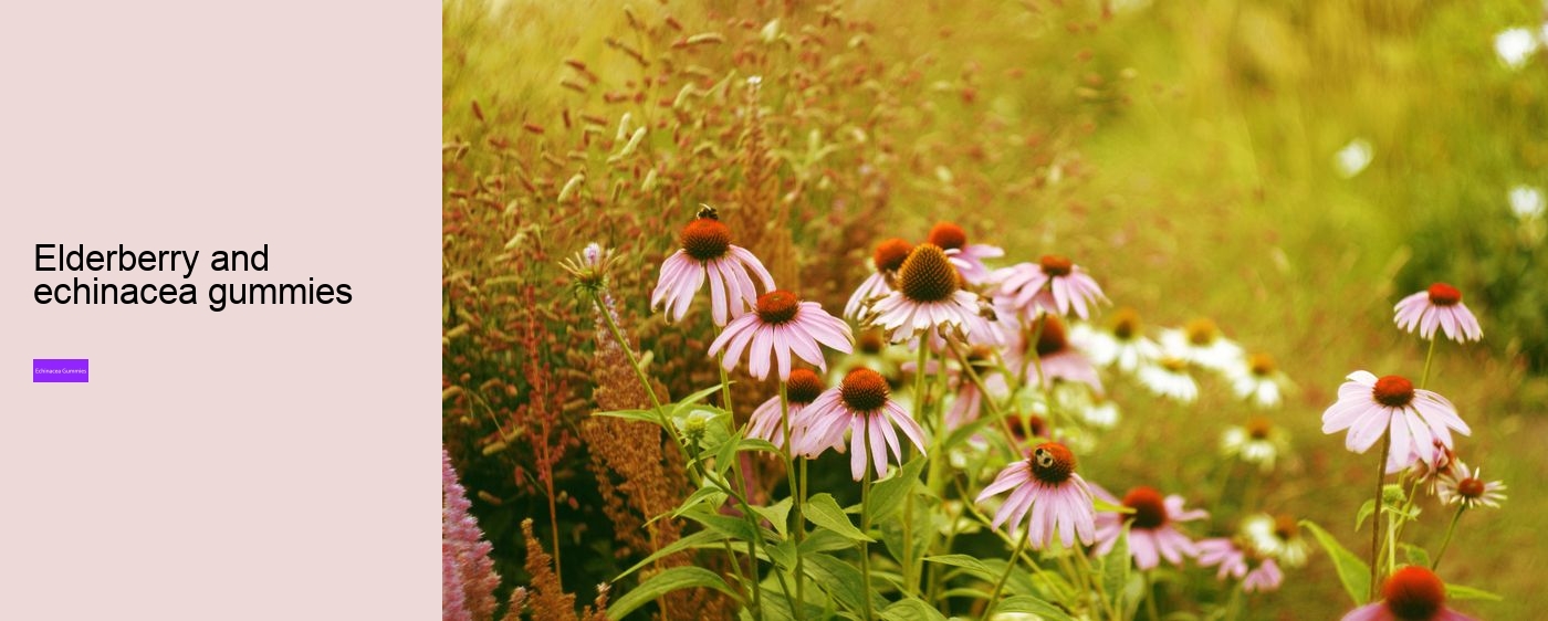 Does echinacea work immediately?