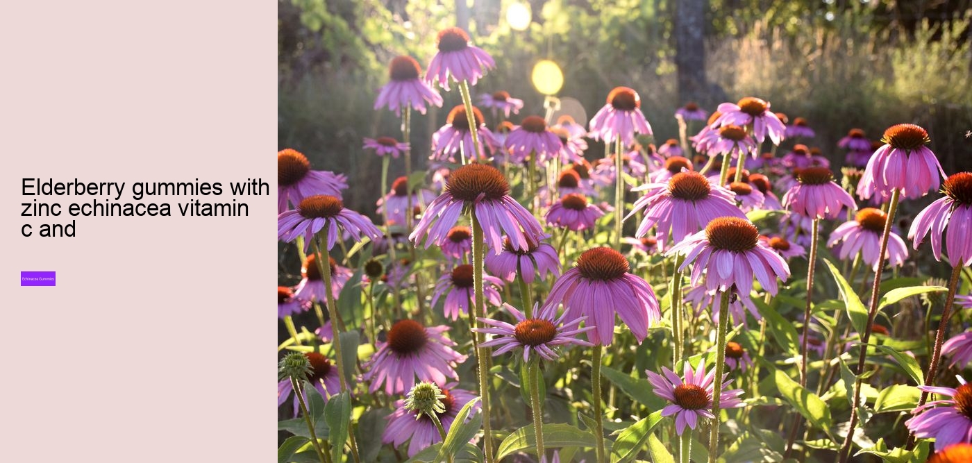 zinc echinacea