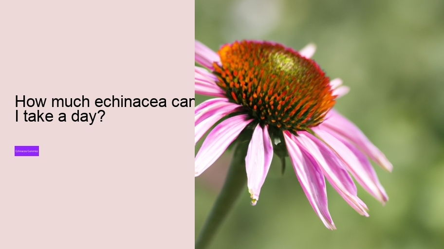 How much echinacea can I take a day?