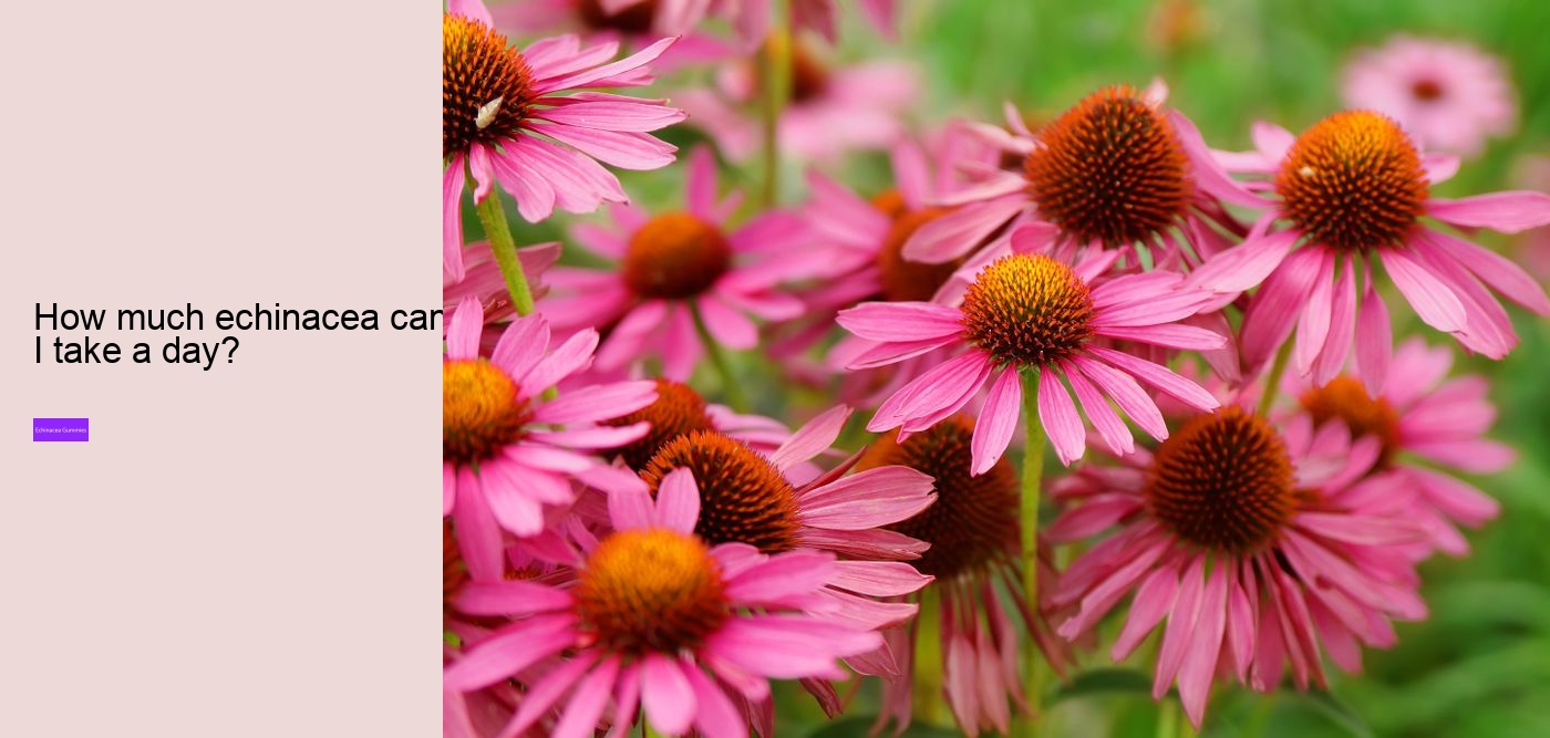 Can echinacea interfere with sleep?