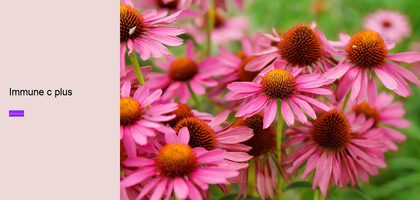 zinc echinacea vitamin c