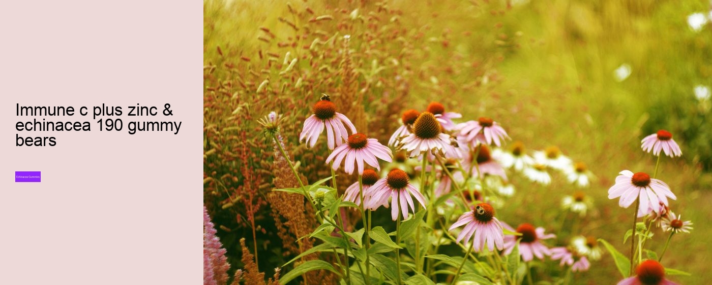 Can I take echinacea supplements everyday?