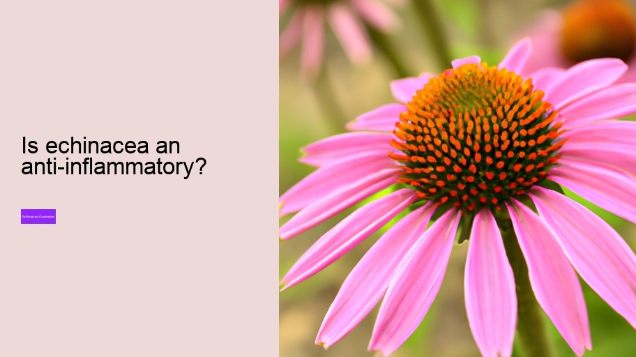 Is echinacea an anti-inflammatory?