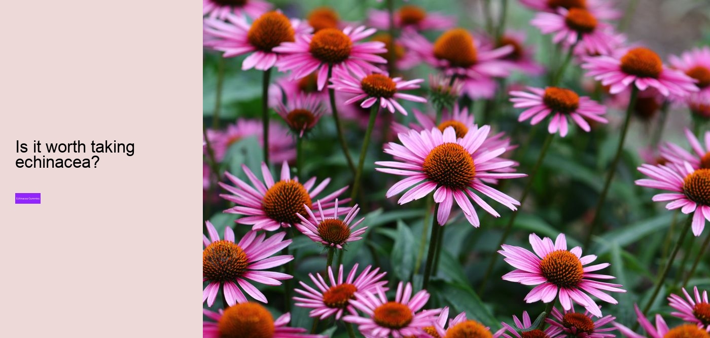 What's the best form of echinacea?