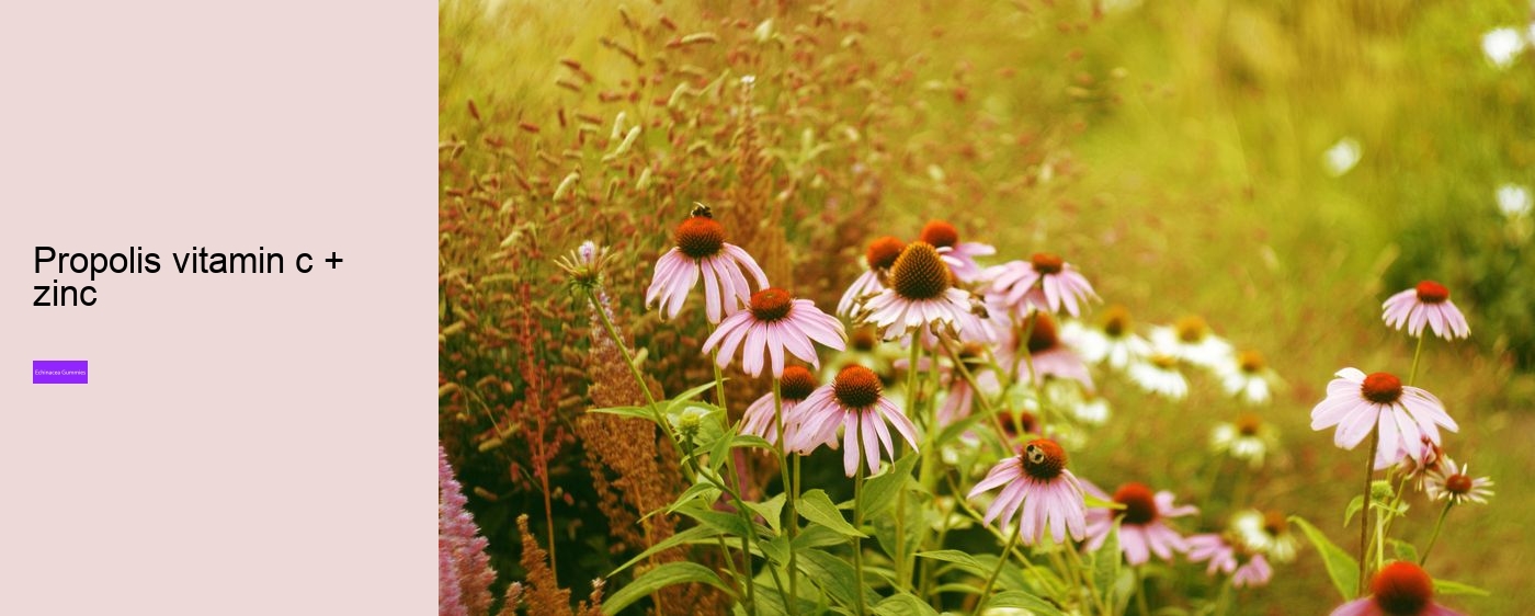 Does echinacea come in gummies?