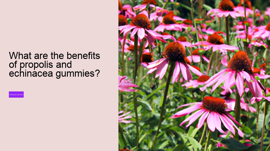 What are the benefits of propolis and echinacea gummies?