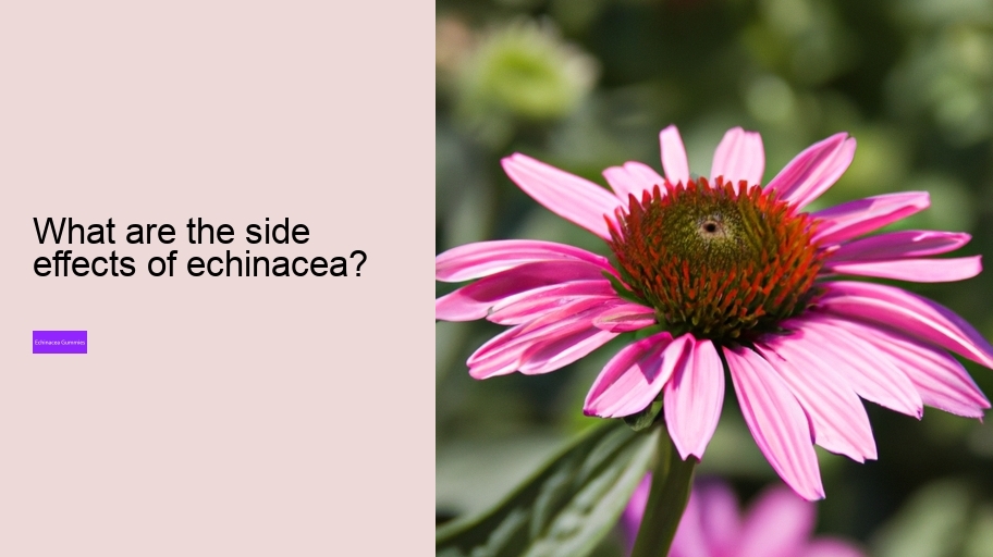 What are the side effects of echinacea?