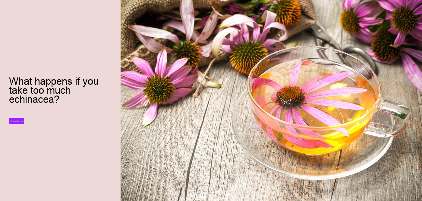 echinacea and zinc