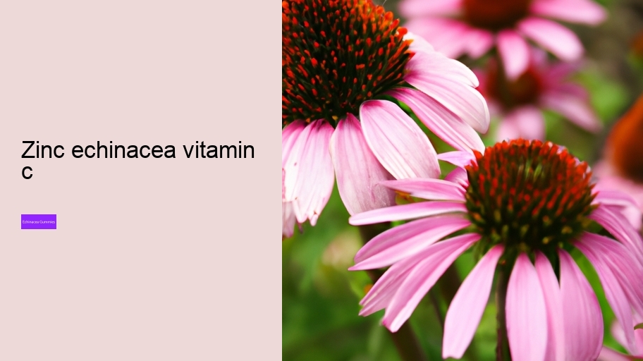 zinc echinacea vitamin c