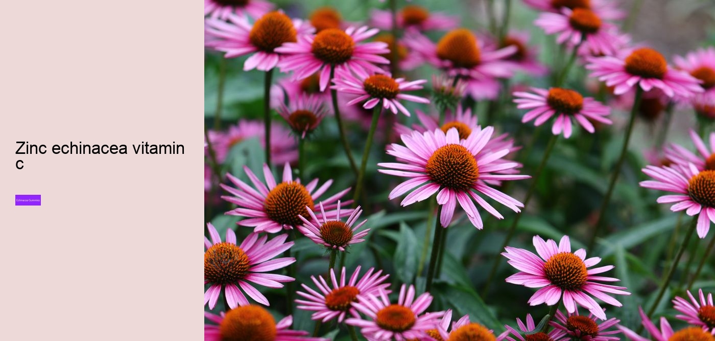 echinacea gummy bears