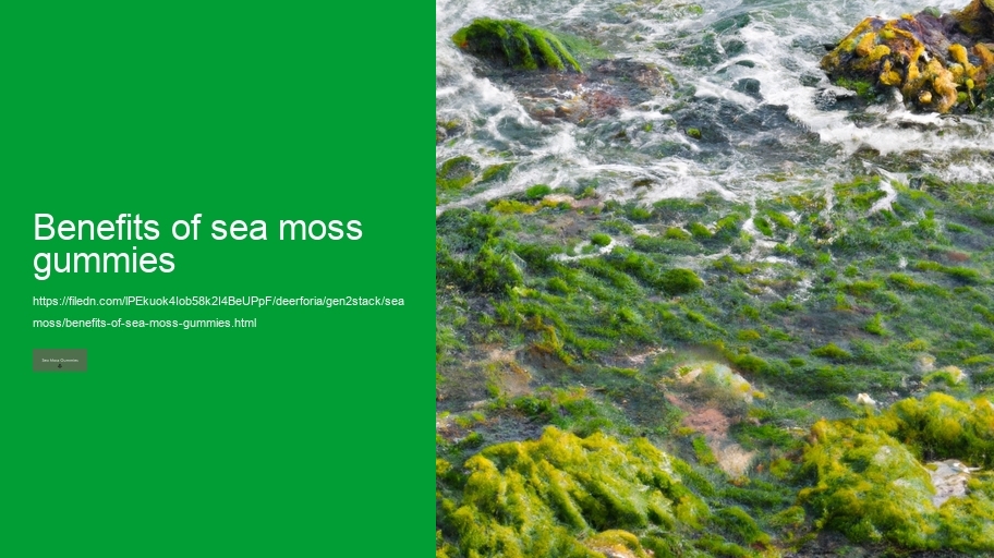 benefits of sea moss gummies