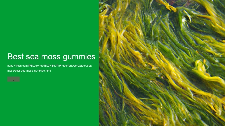 best sea moss gummies